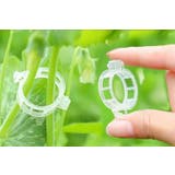 園芸用クリップ 誘引クリップ 100個入り | PlusNao | 詳細画像9 