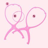 ウィッグスタンド キャップスタンド ウィッグハンガー | PlusNao | 詳細画像6