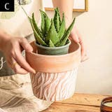 植木鉢 鉢植え プランター | PlusNao | 詳細画像5 