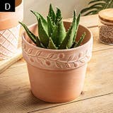 植木鉢 鉢植え プランター | PlusNao | 詳細画像6 