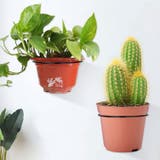 ボールホルダー 壁掛け ボール収納ラック | PlusNao | 詳細画像4 