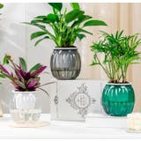 植木鉢 2個セット 自動給水式 | PlusNao | 詳細画像10 