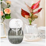 植木鉢 2個セット 自動給水式 | PlusNao | 詳細画像11 