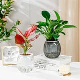 植木鉢 2個セット 自動給水式 | PlusNao | 詳細画像5 