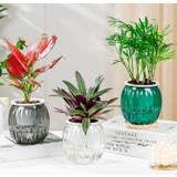 植木鉢 2個セット 自動給水式 | PlusNao | 詳細画像6 