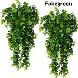フェイクグリーン 人工観葉植物 吊り下げ | PlusNao | 詳細画像1 