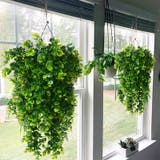 フェイクグリーン 人工観葉植物 吊り下げ | PlusNao | 詳細画像2 