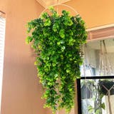 フェイクグリーン 人工観葉植物 吊り下げ | PlusNao | 詳細画像3 