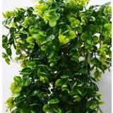 フェイクグリーン 人工観葉植物 吊り下げ | PlusNao | 詳細画像4 