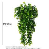 フェイクグリーン 人工観葉植物 吊り下げ | PlusNao | 詳細画像5 