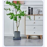 植木鉢台 1号 キャスター付き | PlusNao | 詳細画像4 