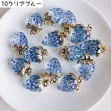 アクセサリーパーツ 単品 チャーム | PlusNao | 詳細画像11