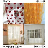 のれん ストリングカーテン ロング | PlusNao | 詳細画像7