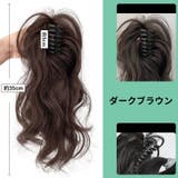 ポイントウィッグ 部分ウィッグ つけ毛 | PlusNao | 詳細画像9 