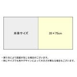 フェイスタオル 厚手コーラルフリース 吸水 | PlusNao | 詳細画像14