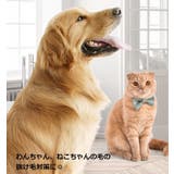 抜け毛取りクリーナー 犬の毛 猫の毛 | PlusNao | 詳細画像4 