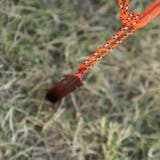 テントペグ 10本セット テント設営用品 | PlusNao | 詳細画像7 