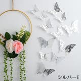 ウォールステッカー 壁紙シール 12枚 | PlusNao | 詳細画像17 