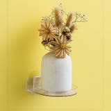 ウォールシェルフ 防犯カメラ ペット用カメラ | PlusNao | 詳細画像2 