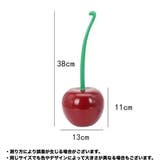 トイレブラシ トイレ掃除ブラシ 収納ケース付き | PlusNao | 詳細画像9 