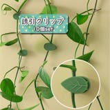 誘引クリップ 10個セット 園芸クリップ | PlusNao | 詳細画像1 