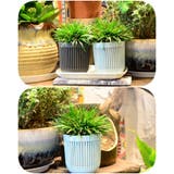 ハンギングプランター 植木鉢 吊るす | PlusNao | 詳細画像12 