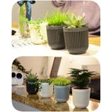 ハンギングプランター 植木鉢 吊るす | PlusNao | 詳細画像14 