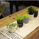 ハンギングプランター 植木鉢 吊るす | PlusNao | 詳細画像4 