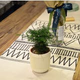 ハンギングプランター 植木鉢 吊るす | PlusNao | 詳細画像5 