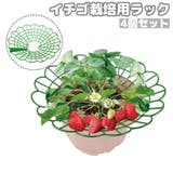 イチゴ栽培用ラック 4個 いちごスタンド | PlusNao | 詳細画像1 
