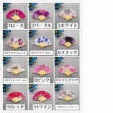 扇子 せんす レディース | PlusNao | 詳細画像18