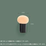 パフ チークブラシ スポンジ | PlusNao | 詳細画像15