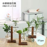 水耕栽培花瓶 木製スタンド付き インテリア小物 | PlusNao | 詳細画像1