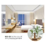水耕栽培花瓶 木製スタンド付き インテリア小物 | PlusNao | 詳細画像2
