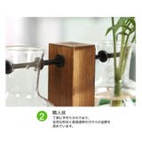 水耕栽培花瓶 木製スタンド付き インテリア小物 | PlusNao | 詳細画像6