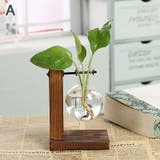 水耕栽培花瓶 木製スタンド付き インテリア小物 | PlusNao | 詳細画像7