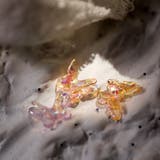 ネイルパーツ スマホ用デコパーツ 20個セット | PlusNao | 詳細画像11 