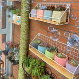 ウォールシェルフ ウォールラック 飾り棚 | PlusNao | 詳細画像8 