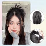 ポイントウィッグ ヘアクリップ式 レディース | PlusNao | 詳細画像2