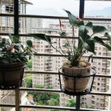 プラントホルダー 植木鉢 鉢植え | PlusNao | 詳細画像3
