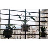 プラントホルダー 植木鉢 鉢植え | PlusNao | 詳細画像5