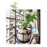 プラントホルダー 植木鉢 鉢植え | PlusNao | 詳細画像7