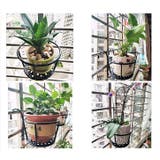 プラントホルダー 植木鉢 鉢植え | PlusNao | 詳細画像8