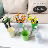 鉢植え 植木鉢 プランターポット | PlusNao | 詳細画像1 