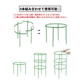 園芸用支柱 リング支柱 組み立て式 | PlusNao | 詳細画像13