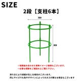 園芸用支柱 リング支柱 組み立て式 | PlusNao | 詳細画像14