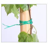 ビニールタイ ビニタイ ガーデンケーブルタイ | PlusNao | 詳細画像4 