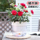 植木鉢 自動給水 フラワーポット | PlusNao | 詳細画像1 