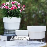 植木鉢 自動給水 フラワーポット | PlusNao | 詳細画像2 