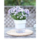 植木鉢 自動給水 フラワーポット | PlusNao | 詳細画像4 